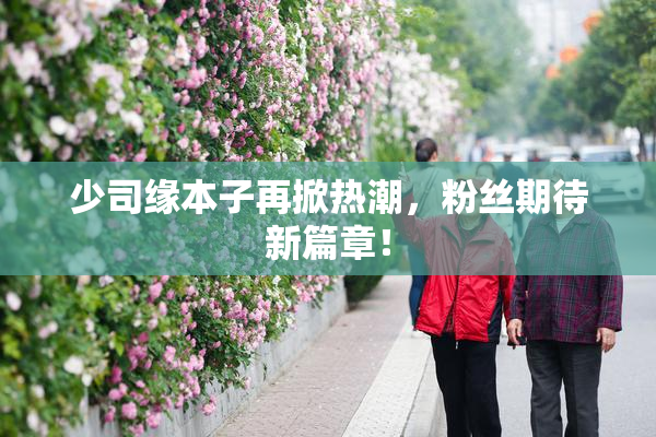 少司缘本子再掀热潮，粉丝期待新篇章！