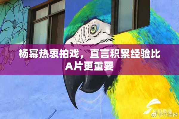 杨幂热衷拍戏，直言积累经验比A片更重要
