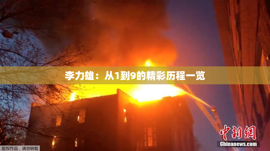 李力雄：从1到9的精彩历程一览