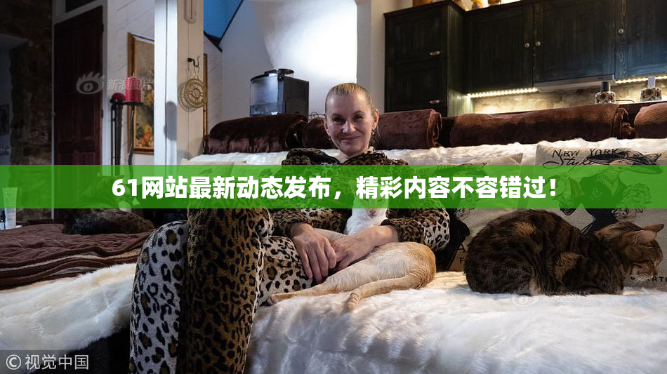 61网站最新动态发布，精彩内容不容错过！