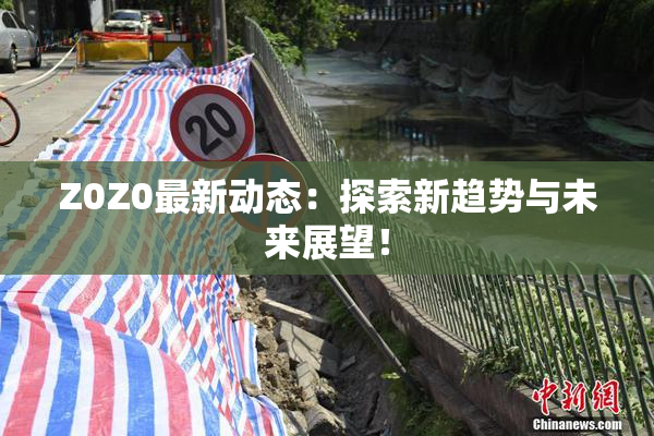 Z0Z0最新动态：探索新趋势与未来展望！