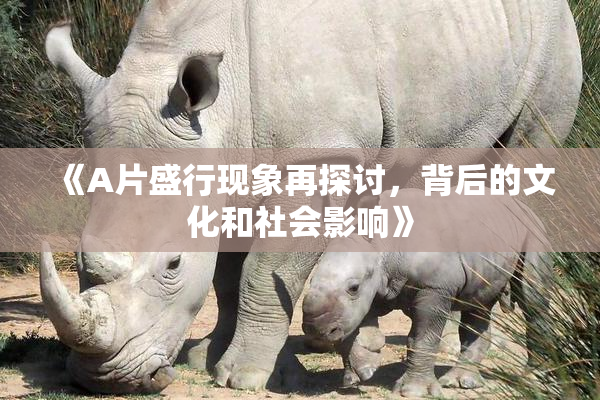 《A片盛行现象再探讨，背后的文化和社会影响》