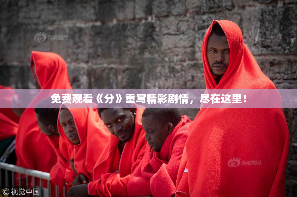 免费观看《分》重写精彩剧情，尽在这里！