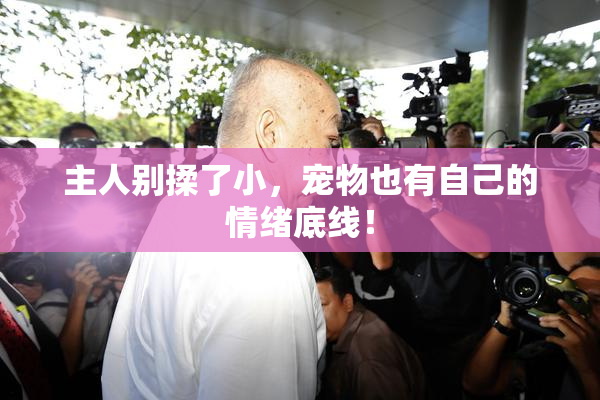 主人别揉了小，宠物也有自己的情绪底线！