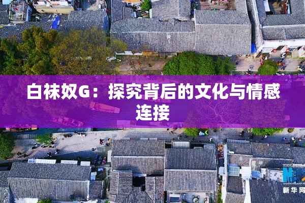 白袜奴G：探究背后的文化与情感连接