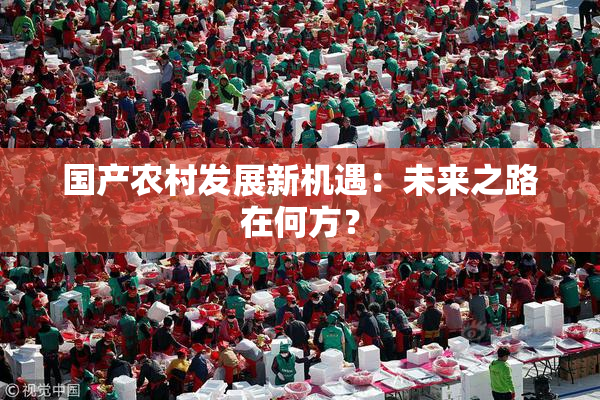 国产农村发展新机遇：未来之路在何方？