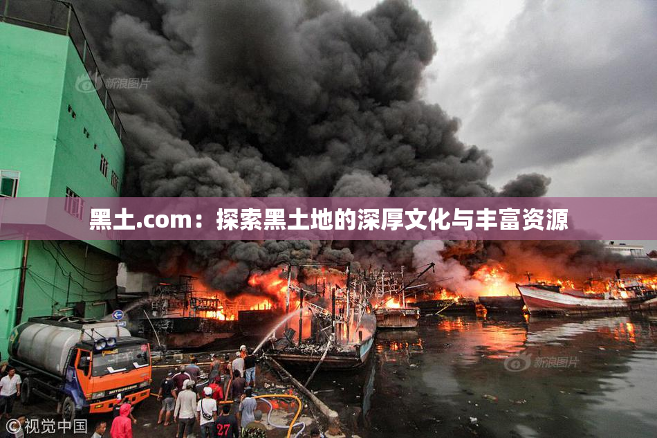 黑土.com：探索黑土地的深厚文化与丰富资源