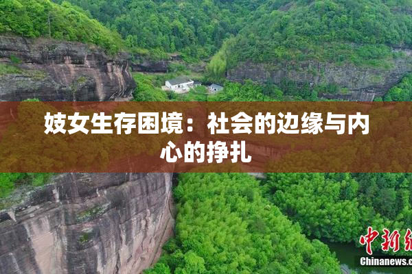 妓女生存困境：社会的边缘与内心的挣扎