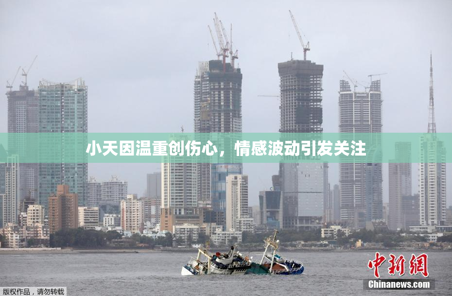 小天因温重创伤心，情感波动引发关注