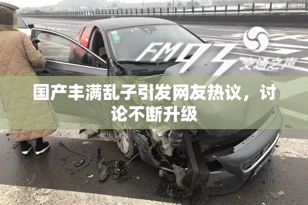 国产丰满乱子引发网友热议，讨论不断升级