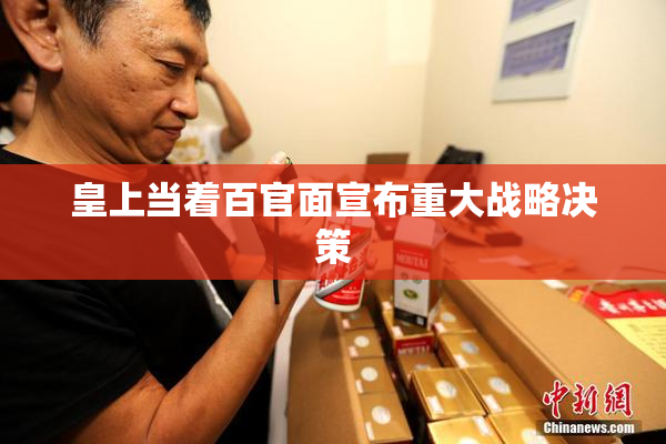皇上当着百官面宣布重大战略决策
