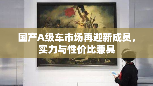 国产A级车市场再迎新成员，实力与性价比兼具