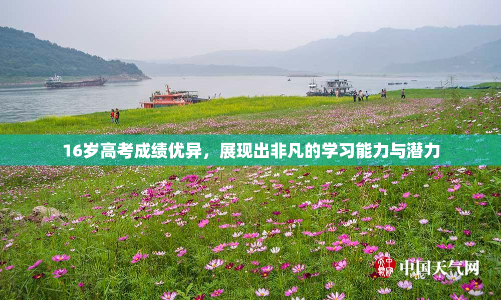 16岁高考成绩优异，展现出非凡的学习能力与潜力