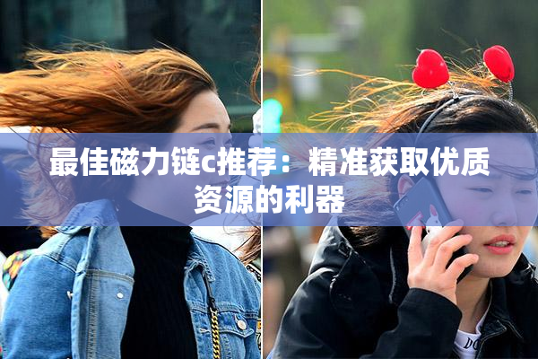 最佳磁力链c推荐：精准获取优质资源的利器