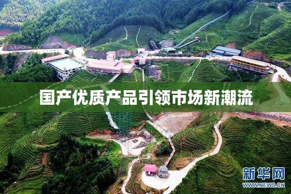 国产优质产品引领市场新潮流