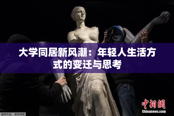 大学同居新风潮：年轻人生活方式的变迁与思考