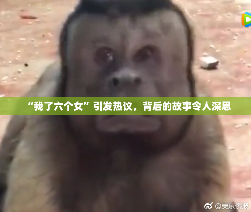 “我了六个女”引发热议，背后的故事令人深思