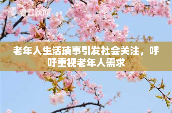 老年人生活琐事引发社会关注，呼吁重视老年人需求
