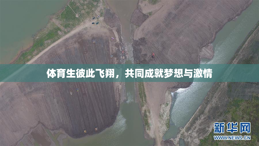 体育生彼此飞翔，共同成就梦想与激情