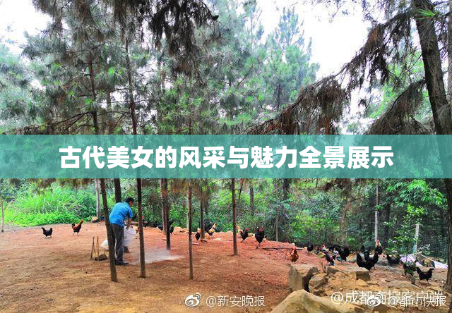 古代美女的风采与魅力全景展示