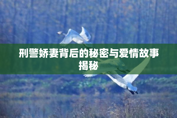 刑警娇妻背后的秘密与爱情故事揭秘