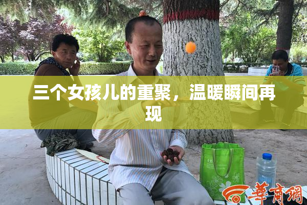 三个女孩儿的重聚，温暖瞬间再现
