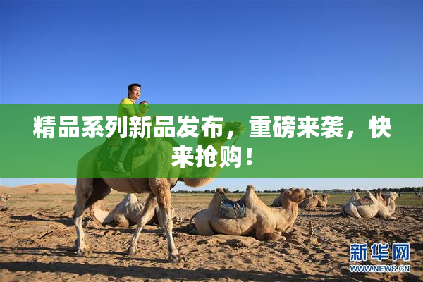 精品系列新品发布，重磅来袭，快来抢购！