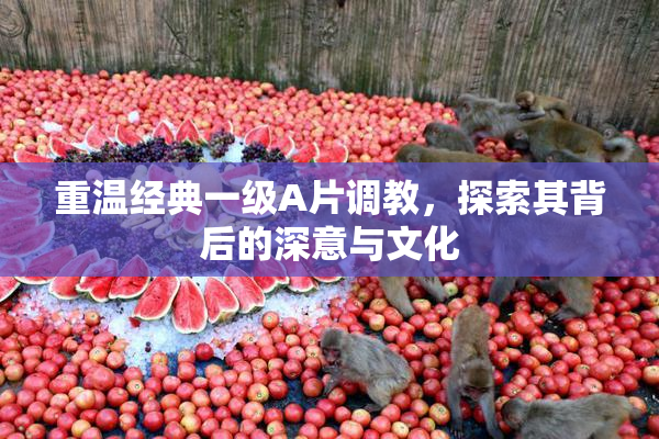 重温经典一级A片调教，探索其背后的深意与文化