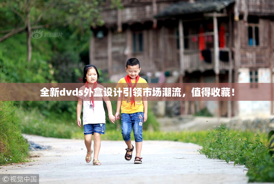 全新dvds外盒设计引领市场潮流，值得收藏！