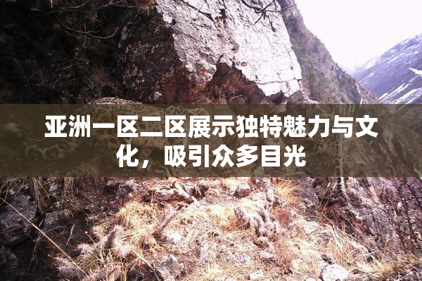 亚洲一区二区展示独特魅力与文化，吸引众多目光