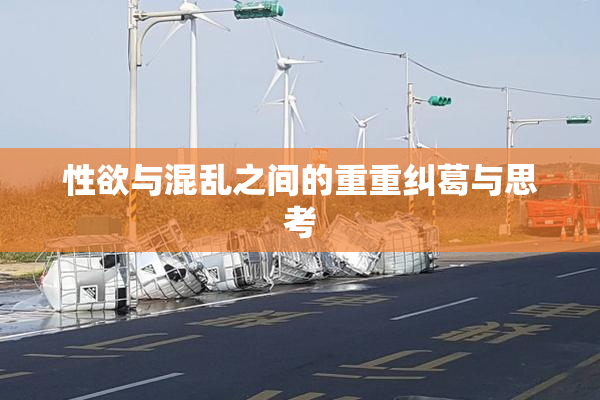 性欲与混乱之间的重重纠葛与思考