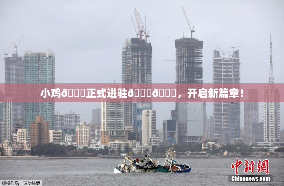 小鸡🐔正式进驻🍑🔞，开启新篇章！