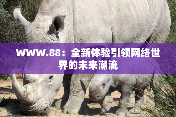 WWW.88：全新体验引领网络世界的未来潮流