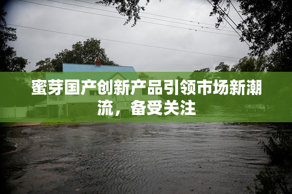 蜜芽国产创新产品引领市场新潮流，备受关注