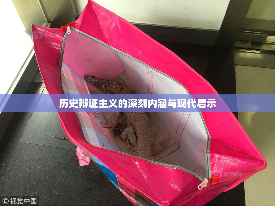 历史辩证主义的深刻内涵与现代启示