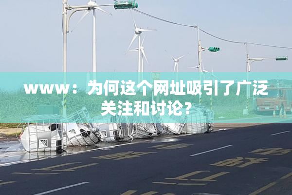 www：为何这个网址吸引了广泛关注和讨论？