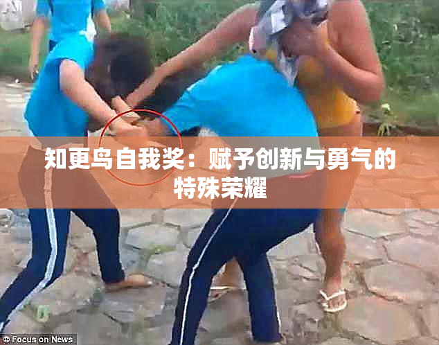 知更鸟自我奖：赋予创新与勇气的特殊荣耀