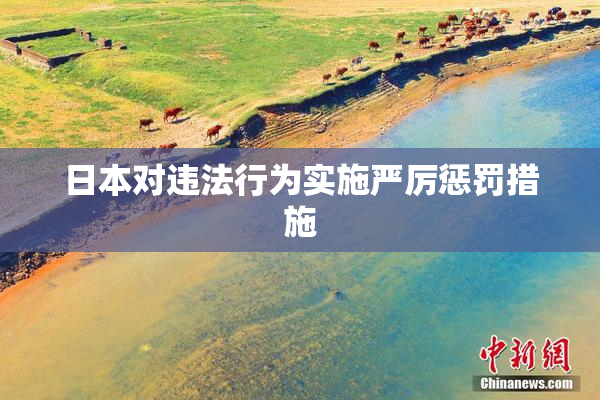 日本对违法行为实施严厉惩罚措施