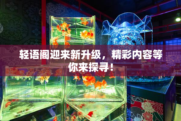 轻语阁迎来新升级，精彩内容等你来探寻！