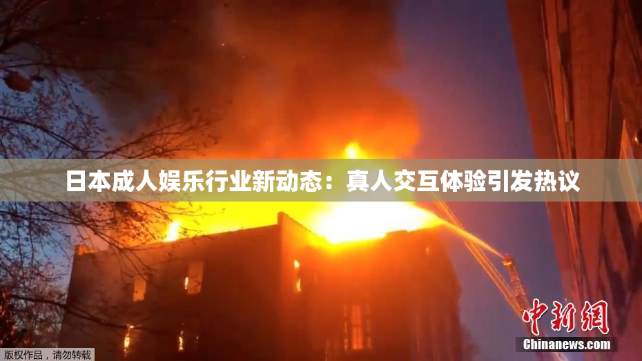 日本成人娱乐行业新动态：真人交互体验引发热议