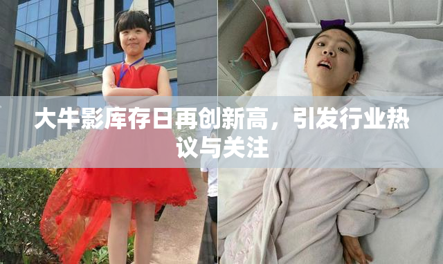 大牛影库存日再创新高，引发行业热议与关注
