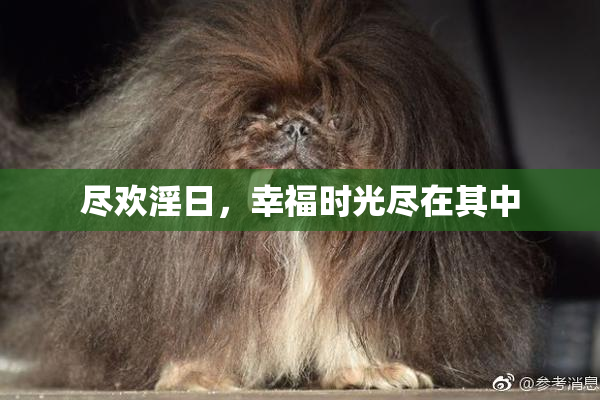 尽欢淫日，幸福时光尽在其中