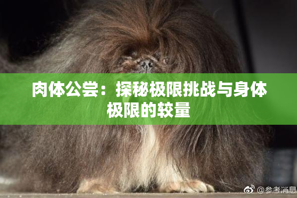 肉体公尝：探秘极限挑战与身体极限的较量