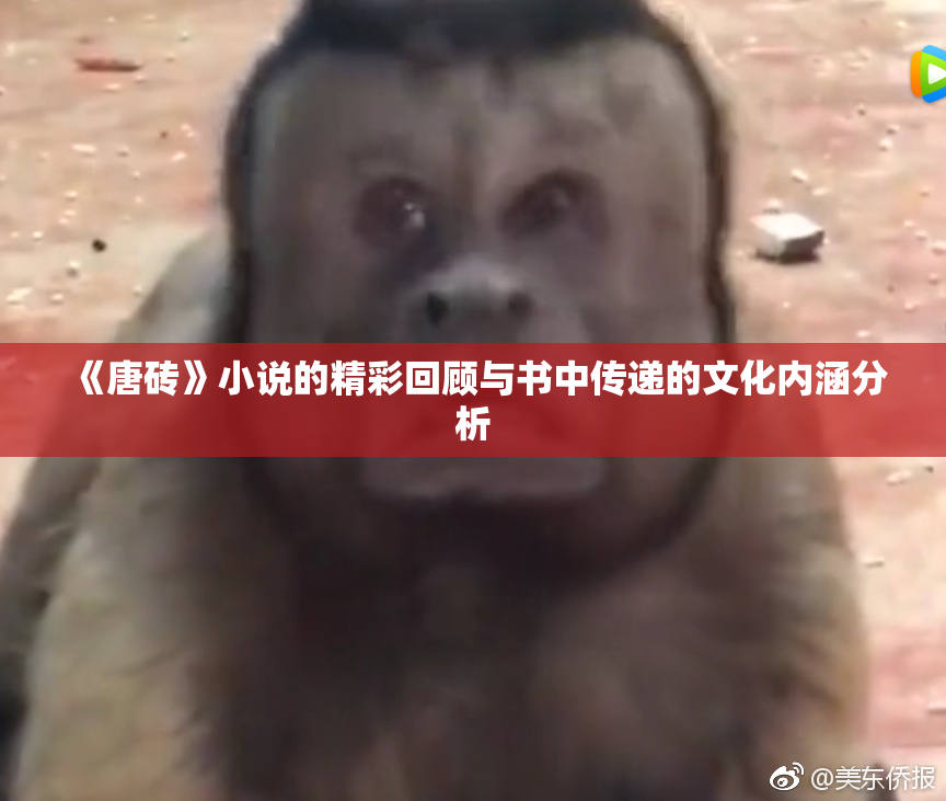 《唐砖》小说的精彩回顾与书中传递的文化内涵分析