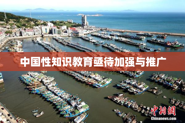 中国性知识教育亟待加强与推广