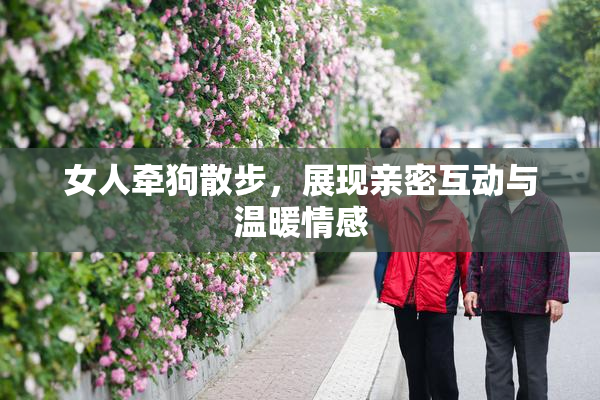 女人牵狗散步，展现亲密互动与温暖情感