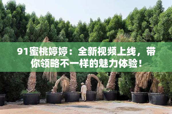 91蜜桃婷婷：全新视频上线，带你领略不一样的魅力体验！