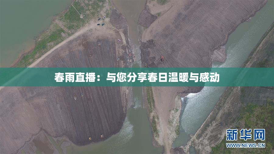 春雨直播：与您分享春日温暖与感动