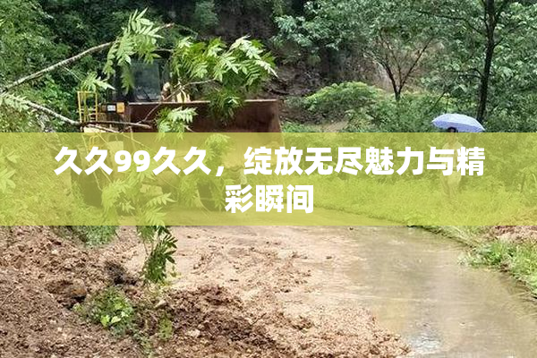 久久99久久，绽放无尽魅力与精彩瞬间