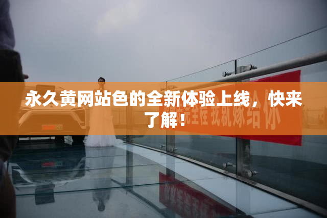 永久黄网站色的全新体验上线，快来了解！